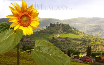 Chianti Tuscany